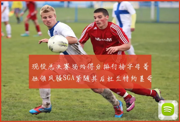 现役总决赛场均得分排行榜字母哥独领风骚SGA紧随其后杜兰特约基奇东契奇争夺第三