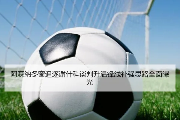 阿森纳冬窗追逐谢什科谈判升温锋线补强思路全面曝光 - ManBetX
